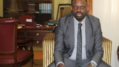 Fabrice Andjoua Bongo Ondimba